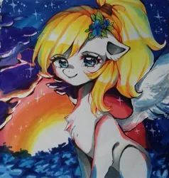 Size: 1635x1717 | Tagged: safe, artist:anonymous, derpibooru import, oc, oc:luftkrieg, pegasus, pony, aryan, aryan pony, blonde, chest fluff, cute, female, filly, nazi, nazipone, night, painting, romantic, scenery, stars, sun, traditional art