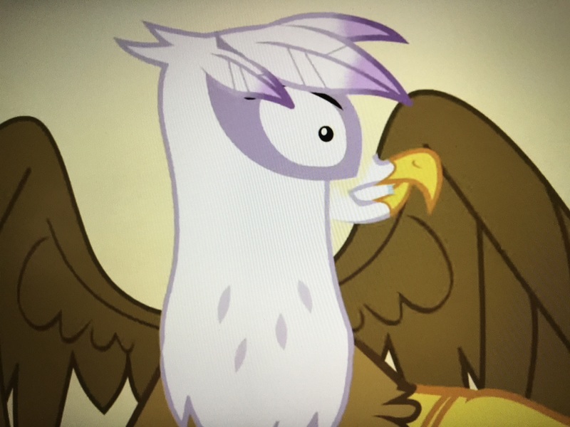 Size: 4032x3024 | Tagged: animation error, derpibooru import, gilda, griffon the brush off, safe, screencap, solo