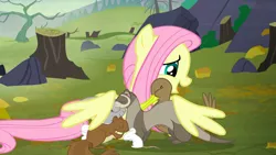 Size: 1440x810 | Tagged: safe, derpibooru import, screencap, fluttershy, bird, duck, ferret, mouse, pegasus, pony, squirrel, the hooffields and mccolts, animal, cute, female, hug, kindness, mare, rock, shyabetes, tree, tree stump, winghug