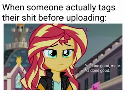 Size: 1193x894 | Tagged: safe, derpibooru import, edit, edited screencap, editor:apex soundwave, screencap, sunset shimmer, derpibooru, equestria girls, friendship games, canterlot high, caption, female, image macro, meta, satisfied, smiling, smirk, solo, text, tired, truth, vulgar