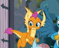 Size: 639x519 | Tagged: safe, derpibooru import, edit, edited screencap, screencap, gallus, ocellus, smolder, yona, changedling, changeling, dragon, gryphon, school daze, animated, claws, cropped, cute, dragoness, dragon wings, fangs, female, flying, gif, grin, horns, male, smiling, smolderbetes, wings
