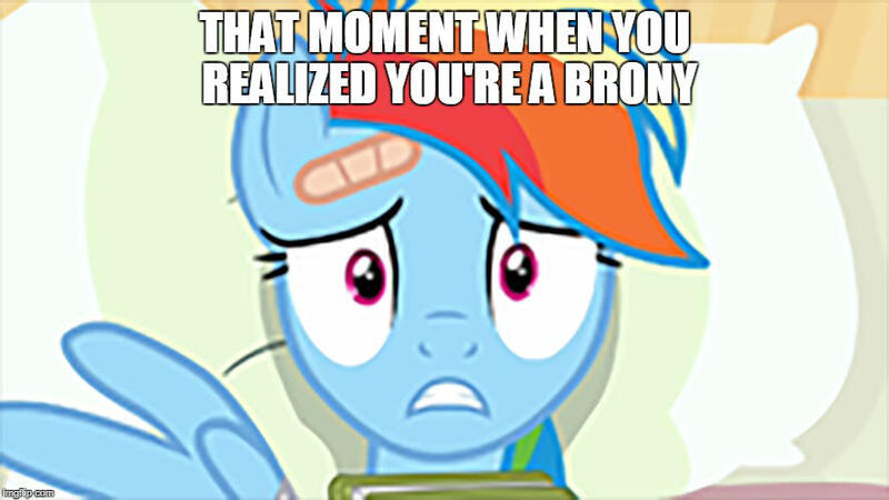 Size: 888x499 | Tagged: book, caption, derpibooru import, edit, edited screencap, image macro, pillow, rainbow dash, read it and weep, realization, safe, screencap, text, welcome to the herd