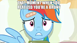 Size: 888x499 | Tagged: book, caption, derpibooru import, edit, edited screencap, image macro, pillow, rainbow dash, read it and weep, realization, safe, screencap, text, welcome to the herd