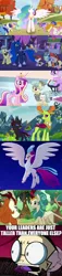 Size: 1920x8455 | Tagged: safe, derpibooru import, edit, edited screencap, screencap, autumn blaze, princess cadance, princess celestia, princess luna, queen novo, rain shine, thorax, alicorn, changedling, changeling, classical hippogriff, crystal pony, earth pony, hippogriff, kirin, pony, fall weather friends, games ponies play, luna eclipsed, my little pony: the movie, sounds of silence, to change a changeling, caption, changeling king, dib membrane, ethereal mane, female, image macro, impact font, invader zim, king thorax, large and in charge, leader, male, mare, meme, royalty, spread wings, stallion, tall, text, wings
