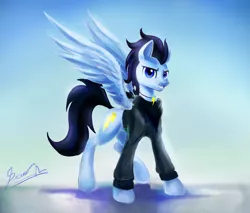 Size: 2880x2448 | Tagged: safe, artist:light-of-inirida, derpibooru import, oc, oc:lightning, unofficial characters only, pegasus, pony, clothes, male, not soarin, signature, smiling, solo, spread wings, stallion, wings