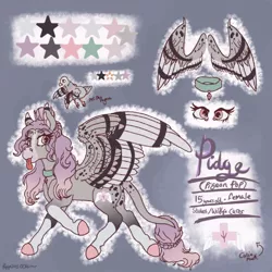 Size: 768x768 | Tagged: safe, artist:pegasus004, derpibooru import, oc, oc:pigeon pop, bird, pegasus, pigeon, pony, collar, markings, reference, reference sheet, spots, tongue out