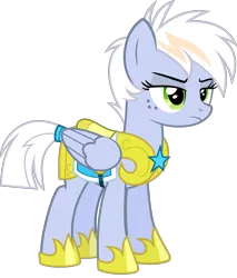 Size: 1700x2000 | Tagged: safe, artist:whalepornoz, derpibooru import, oc, oc:blizzard cloud, unofficial characters only, pegasus, pony, armor, female, freckles, guardsmare, mare, offspring, parent:fleetfoot, royal guard, simple background, solo, transparent background