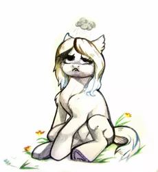 Size: 1280x1393 | Tagged: safe, artist:rrd-artist, derpibooru import, oc, unofficial characters only, earth pony, pony, :c, cloud, cute, ear fluff, frown, horseshoes, raincloud, sad, shoulder fluff, solo, traditional art, watercolor painting, watercolour