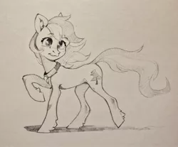 Size: 2560x2116 | Tagged: safe, artist:dearmary, derpibooru import, roseluck, earth pony, pony, adorarose, collar, cute, ear fluff, female, grayscale, hoof fluff, mare, monochrome, pencil drawing, pet tag, pony pet, rosepet, simple background, traditional art, unshorn fetlocks, white background, windswept mane