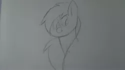 Size: 3920x2204 | Tagged: safe, artist:pegasusspectra, derpibooru import, oc, oc:pegasus spectra, pony, monochrome, sketch, traditional art