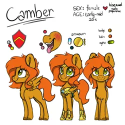 Size: 1280x1280 | Tagged: safe, artist:spoopygander, derpibooru import, oc, oc:camber, pegasus, pony, armor, female, guardsmare, mare, reference sheet, royal guard