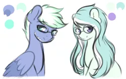 Size: 1024x643 | Tagged: safe, artist:fluffymaiden, derpibooru import, oc, unofficial characters only, earth pony, pegasus, pony, female, glasses, male, mare, sitting, stallion