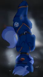 Size: 3523x6300 | Tagged: suggestive, artist:alphadesu, derpibooru import, oc, earth pony, pony, blushing, bondage, collar, commission, cuffs, dialogue, eyes closed, female, hanging, hanging upside down, mare, moaning, open mouth, rope, rope bondage, solo, solo female, suspended, suspension bondage, upside down, ych result