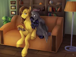 Size: 4000x3000 | Tagged: safe, artist:yaru, artist:yarugreat, derpibooru import, oc, oc:radiant star, oc:rune riddle, unofficial characters only, earth pony, pegasus, pony, book, bookshelf, commission, couch, digital art, female, high res, lamp, male, mare, painting, plant, reading, runestar, shelf, shipping, signature, stallion, straight, ych result