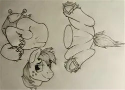 Size: 4360x3121 | Tagged: safe, artist:uliovka, derpibooru import, big macintosh, pony, detachable head, disembodied head, half, headless, male, modular, pencil drawing, sketch, solo, stallion, traditional art