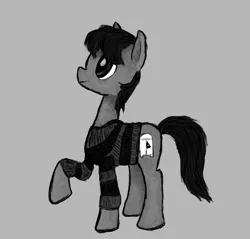 Size: 524x501 | Tagged: safe, artist:restartbob, deleted from derpibooru, derpibooru import, oc, oc:closed closets, earth pony, pony, clothes, sweater