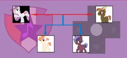 Size: 1383x631 | Tagged: safe, artist:alphamonouryuuken, artist:kianamai, derpibooru import, button mash, sweetie belle, oc, oc:pixel bit, oc:tacet, pony, kilalaverse, kilalaverse ii, family tree, female, male, next generation, offspring, parent:button mash, parent:sweetie belle, parents:sweetiemash, shipping, straight, sweetiemash