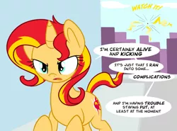 Size: 800x592 | Tagged: safe, artist:sunsetshimmerreallyhatesyou, derpibooru import, sunset shimmer, pony, tumblr