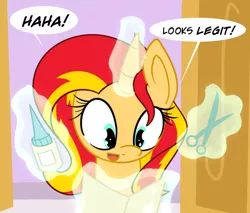 Size: 660x563 | Tagged: safe, artist:sunsetshimmerreallyhatesyou, derpibooru import, sunset shimmer, pony, tumblr