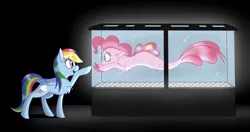 Size: 1280x676 | Tagged: safe, artist:dippin-dott, derpibooru import, pinkie pie, rainbow dash, pegasus, pony, seapony (g4), alternate universe, dark background, duo, female, fish tank, looking at each other, mare, seaponified, seapony pinkie pie, species swap