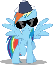 Size: 810x986 | Tagged: safe, artist:dashiesparkle, derpibooru import, rainbow dash, pegasus, pony, may the best pet win, .svg available, backwards ballcap, baseball cap, cap, hat, simple background, solo, sunglasses, transparent background, vector