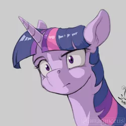 Size: 900x900 | Tagged: safe, artist:amarynceus, deleted from derpibooru, derpibooru import, twilight sparkle, pony, confused, female, gray background, mare, puzzled, raised eyebrow, reaction image, simple background, solo