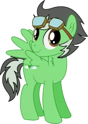 Size: 3531x4970 | Tagged: safe, artist:cyanlightning, derpibooru import, oc, oc:trip away, unofficial characters only, pegasus, pony, 2019 community collab, derpibooru community collaboration, .svg available, absurd resolution, chest fluff, ear fluff, goggles, male, simple background, solo, spread wings, stallion, transparent background, vector, wings