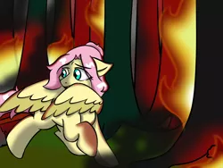 Size: 1600x1200 | Tagged: safe, artist:jolliapplegirl, derpibooru import, fluttershy, pegasus, pony, everfree forest, female, fire, forest, forest fire, mare, solo