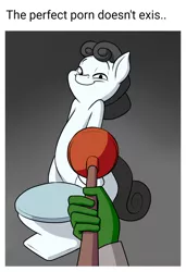 Size: 1080x1575 | Tagged: suggestive, artist:anontheanon, derpibooru import, editor:apex soundwave, oc, oc:anon, oc:kohlette, ponified, object pony, original species, pony, toilet pony, but why, caption, image macro, meme, plunger, porn, text, toilet, toilet plunger, troll, vulgar, why, wtf