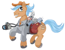 Size: 1574x1200 | Tagged: safe, artist:wangkingfun, derpibooru import, oc, oc:wangkingfun, unofficial characters only, earth pony, pony, 2019 community collab, derpibooru community collaboration, bag, camera, doll, hat, male, simple background, smiley face, solo, toy, transparent background