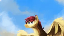 Size: 1920x1080 | Tagged: safe, artist:hierozaki, derpibooru import, oc, oc:sunstrider, pegasus, pony, flying, sky, smiling, solo