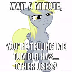 Size: 1024x1024 | Tagged: safe, derpibooru import, derpy hooves, pony, caption, image macro, meme, text, tumblr, tumblr 2018 nsfw purge, tumblr purge