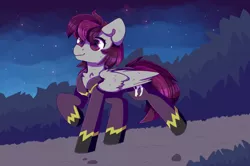 Size: 700x466 | Tagged: artist needed, safe, derpibooru import, oc, oc:grey sky, unofficial characters only, pegasus, pony, clothes, cute, flight suit, night, shadowbolts, solo, strolling, walking
