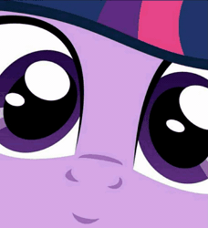 Size: 911x1000 | Tagged: safe, derpibooru import, editor:axal-5, starlight glimmer, sunset shimmer, twilight sparkle, alicorn, pony, unicorn, animated, close up series, close-up, cute, extreme close up, face, female, gif, head tilt, horn, looking at you, mare, smiling, stare, wide eyes