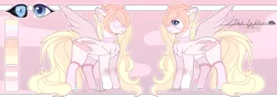 Size: 2760x968 | Tagged: safe, artist:sora-choi, derpibooru import, oc, oc:kiko, pegasus, pony, clothes, collar, eyepatch, female, mare, reference sheet, signature, socks, solo, two toned wings, wings