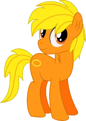 Size: 3551x5020 | Tagged: safe, artist:cyanlightning, derpibooru import, oc, oc:boon, unofficial characters only, earth pony, pony, 2019 community collab, derpibooru community collaboration, .svg available, absurd resolution, chest fluff, ear fluff, male, simple background, solo, stallion, transparent background, vector