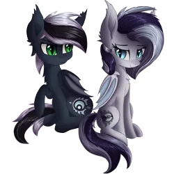 Size: 2000x2000 | Tagged: safe, artist:atlas-66, derpibooru import, oc, oc:naisha, oc:q'pon, unofficial characters only, bat pony, pony, 2019 community collab, 2020 community collab, derpibooru community collaboration, female, male, simple background, transparent background