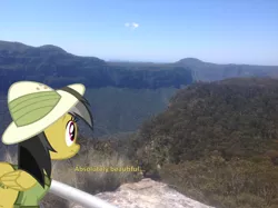 Size: 1002x748 | Tagged: safe, artist:didgereethebrony, derpibooru import, daring do, pony, blue mountains, cliff, didgeree collection, irl, lookout, mlp in australia, photo, ponies in real life, solo, valley