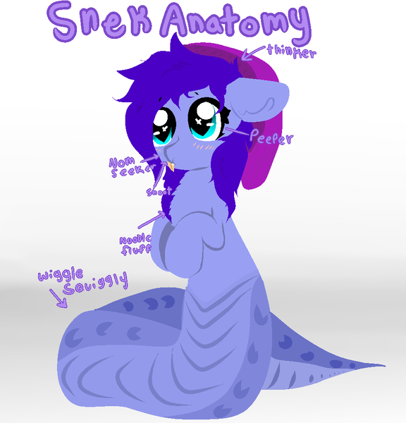 Size: 940x980 | Tagged: anatomy, artist:nootaz, beanie, blushing, chest fluff, cute, derpibooru import, floppy ears, fluffy, hat, lamia, oc, oc:amplitude, original species, safe, snake, snake pony, snek