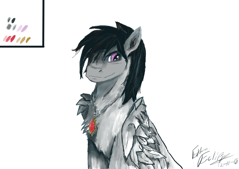 Size: 4960x3508 | Tagged: safe, artist:ethan eclipse, derpibooru import, oc, oc:ethan eclipse, unofficial characters only, pony, amulet, jewelry, long mane, original character do not steal, sole male, solo