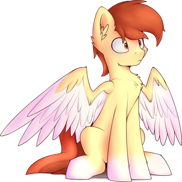 Size: 1701x1705 | Tagged: safe, artist:renderpoint, derpibooru import, oc, oc:render point, pegasus, pony, male, simple background, sitting, solo, stallion, transparent background