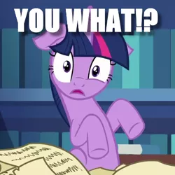 Size: 380x380 | Tagged: safe, derpibooru import, edit, edited screencap, screencap, twilight sparkle, twilight sparkle (alicorn), alicorn, pony, unicorn, celestial advice, book, caption, confused, eye twitch, female, floppy ears, frown, image macro, impact font, library, looking at you, mare, meme, question, reaction image, sitting, solo, surprised, text, unicorn twilight, wide eyes