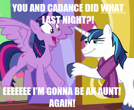 Size: 434x358 | Tagged: safe, derpibooru import, edit, edited screencap, screencap, shining armor, twilight sparkle, twilight sparkle (alicorn), alicorn, pony, unicorn, best gift ever, caption, clothes, door, exclamation point, happy, image macro, implied impregnation, implied sex, interrobang, meme, question mark, scarf, smug, spread wings, text, twilight's castle, wings