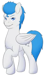 Size: 1213x2080 | Tagged: safe, artist:nudeknightart, derpibooru import, oc, oc:dreamy daze, unofficial characters only, pegasus, pony, 2019 community collab, derpibooru community collaboration, male, simple background, solo, stallion, transparent background