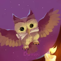 Size: 2000x2000 | Tagged: safe, artist:duvivi, derpibooru import, owlowiscious, bird, owl, candle, image, jpeg, male, mouth hold, night, night sky, scroll, signature, sky, solo, spread wings, wings