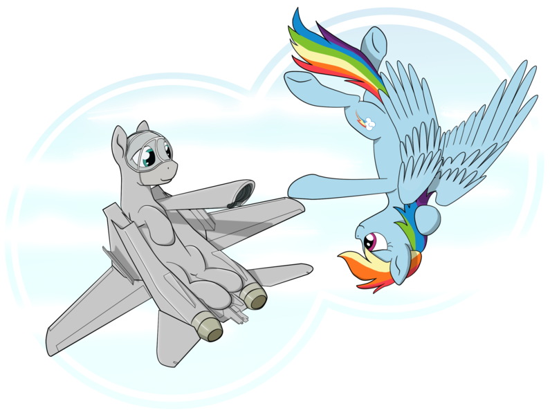 Size: 2752x2078 | Tagged: safe, artist:zackjiang, derpibooru import, rainbow dash, original species, pegasus, plane pony, pony, f-14 tomcat, flying, looking at each other, plane