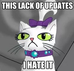 Size: 1280x1231 | Tagged: artist:mysticalpha, caption, cat, derpibooru import, grumpy cat, image macro, impact font, meme, opalescence, safe, solo, text, tumblr:skyshipcelestia