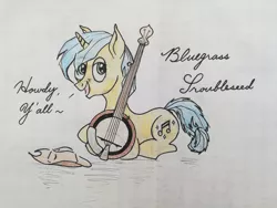 Size: 3968x2976 | Tagged: safe, derpibooru import, oc, oc:bluegrass troubleseed, unofficial characters only, pony, unicorn, banjo, musical instrument, musician