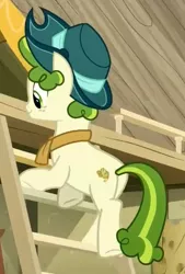 Size: 717x1060 | Tagged: safe, derpibooru import, screencap, pistachio, earth pony, pony, best gift ever, freckles, hat, ladder, male, pistachiaww, smiling, solo, teenager