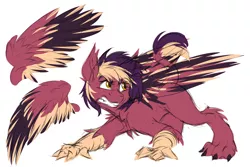 Size: 1280x853 | Tagged: artist:drizziedoodles, claws, clenched teeth, derpibooru import, hippogriff, hippogriff oc, oc, oc:oxide, paws, reference, safe, sharp teeth, simple background, teeth, white background, wings, yellow eyes